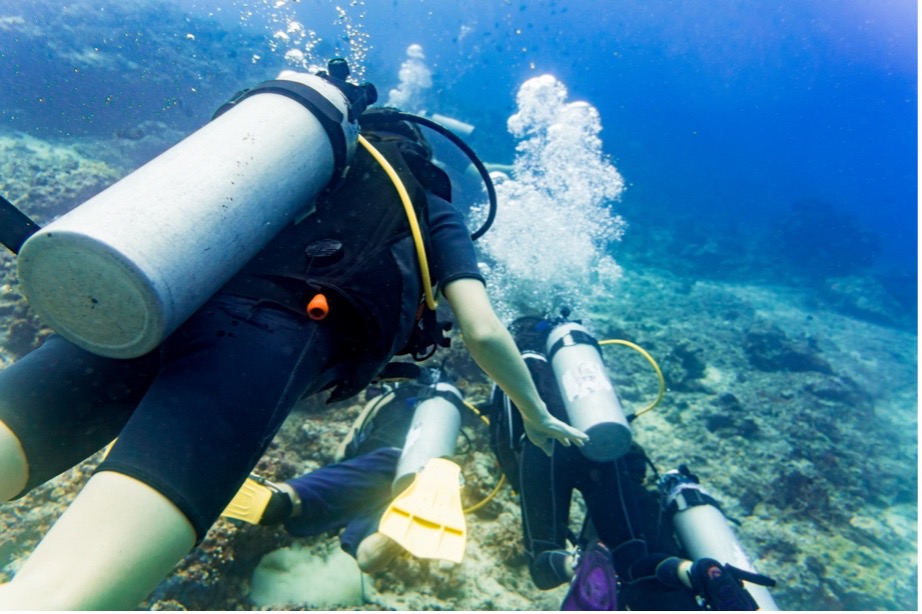 Scuba divers under water