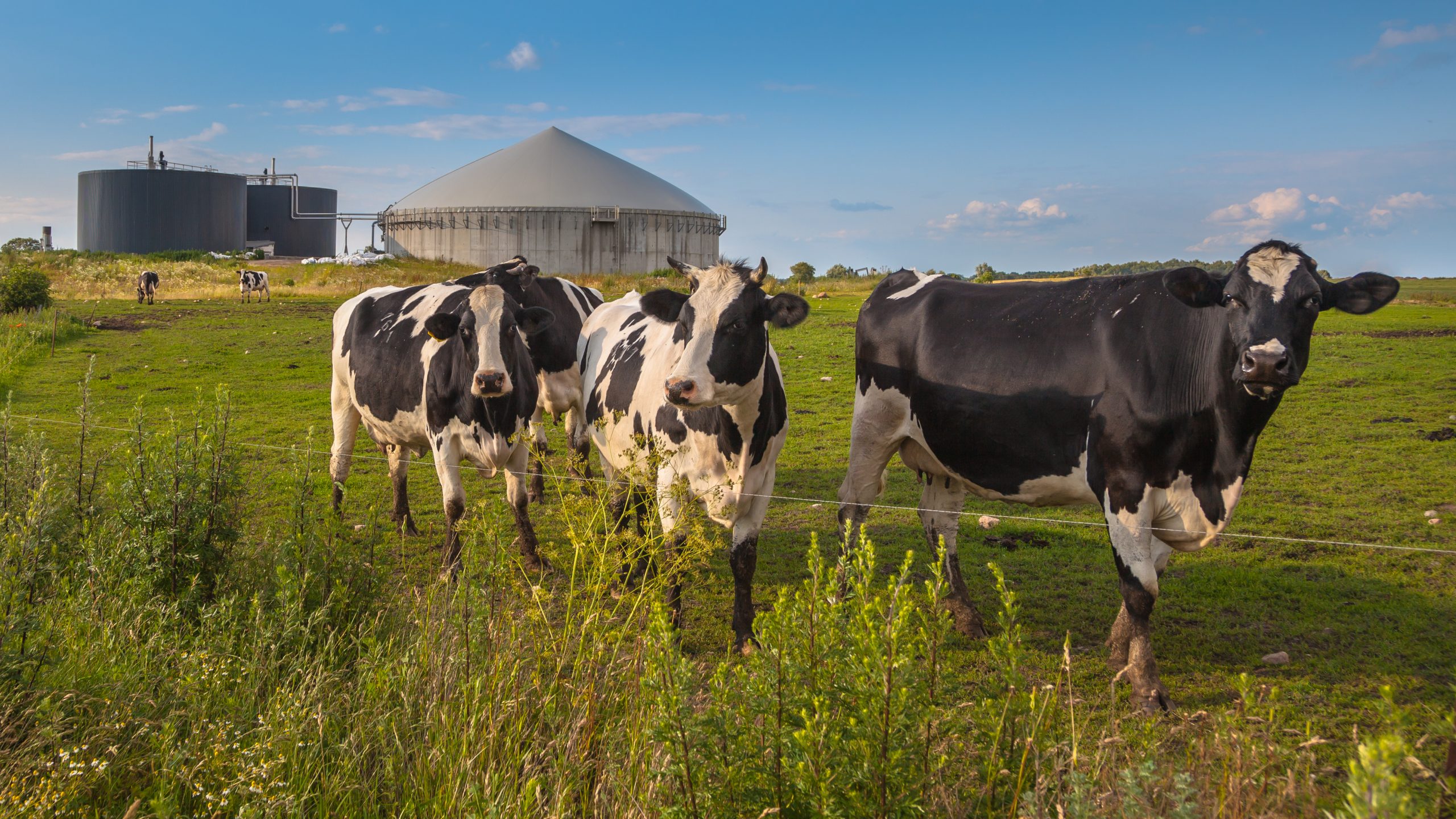 Bio Gas Installation on a farm processing Cow Dung as a side business activity